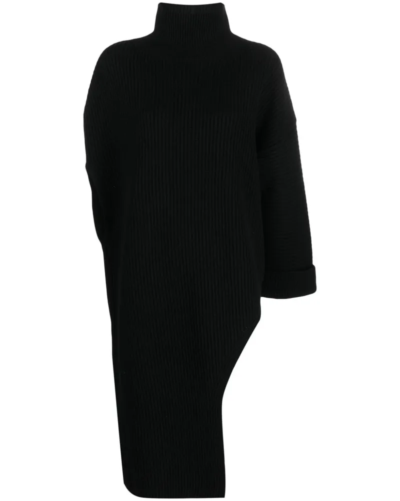 Fabiana Filippi Asymmetrischer Rollkragenpullover Schwarz