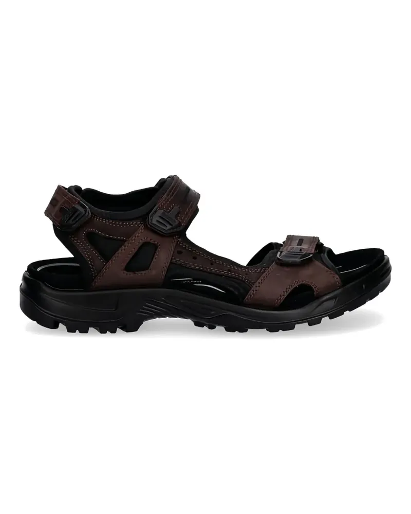 Ecco Offroad strap sandals - Braun Braun