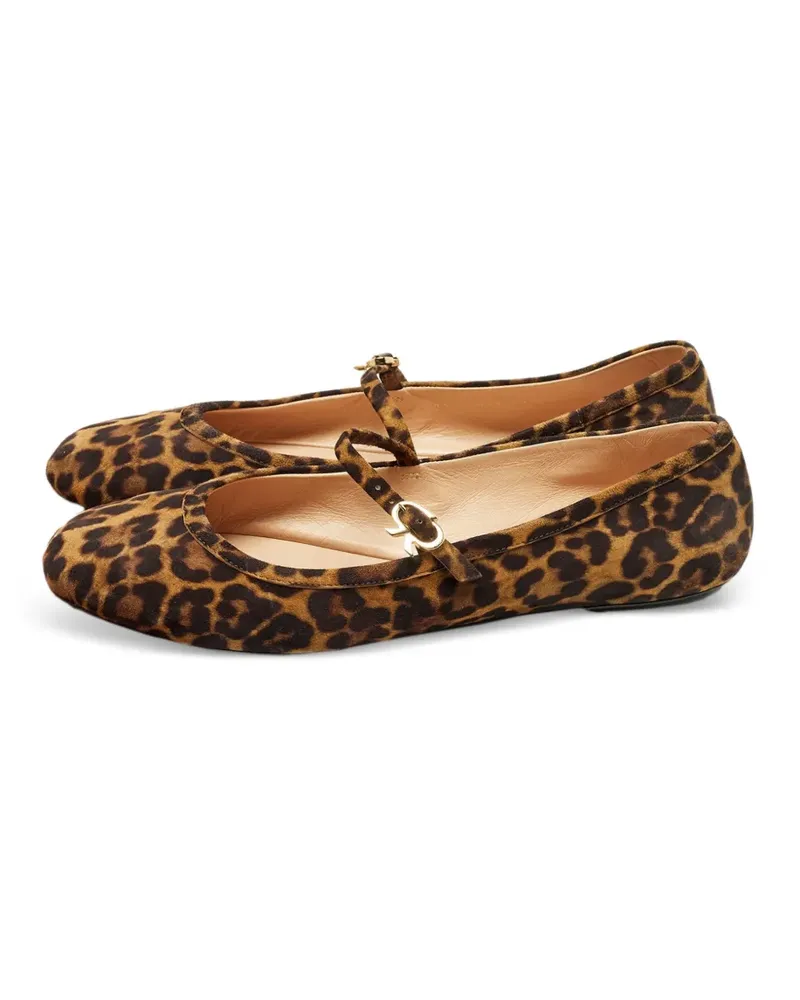 Gianvito Rossi Ballerinas mit Leopardenprint - Braun Braun