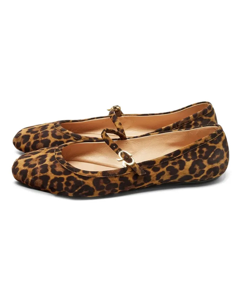 Gianvito Rossi Ballerinas mit Leopardenprint - Braun Braun