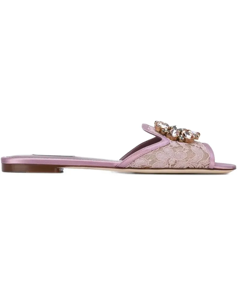 Dolce & Gabbana Rainbow Lace Sandalen mit Brosche - Rosa Rosa