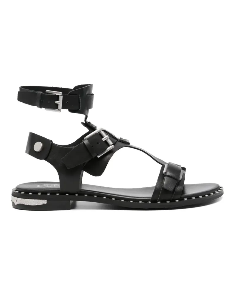 ash buckle-fastening studded sandals - Schwarz Schwarz