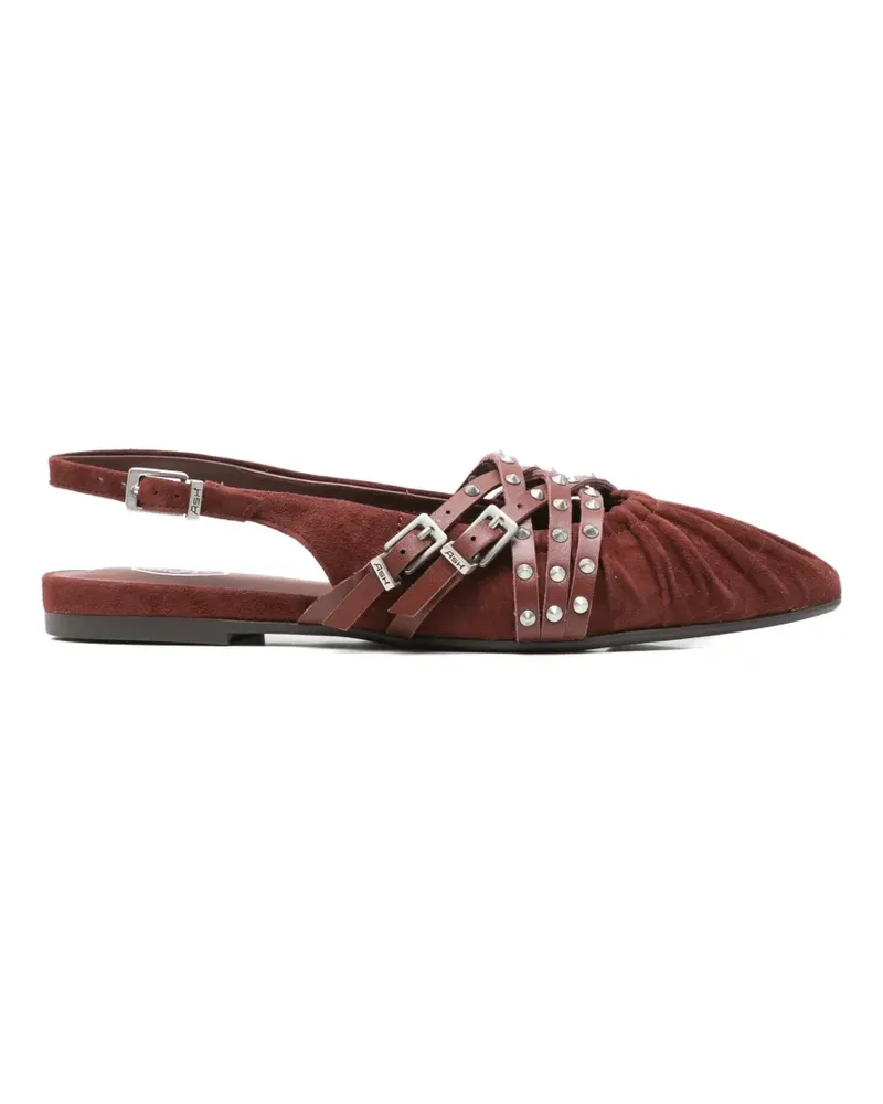 ash studded buckled flat pumps - Rot Rot