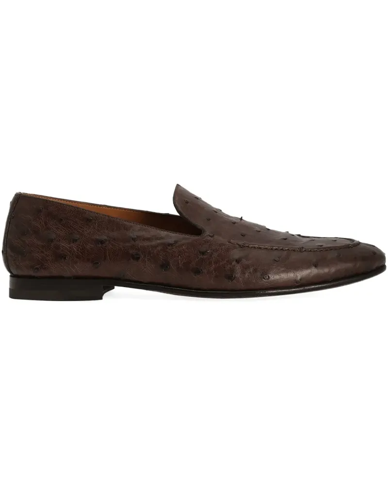 Dolce & Gabbana Klassische Loafer - Braun Braun