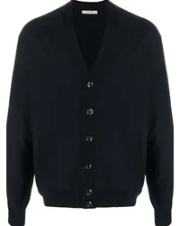 Christophe Lemaire Cardigan mit V-Ausschnitt Blau