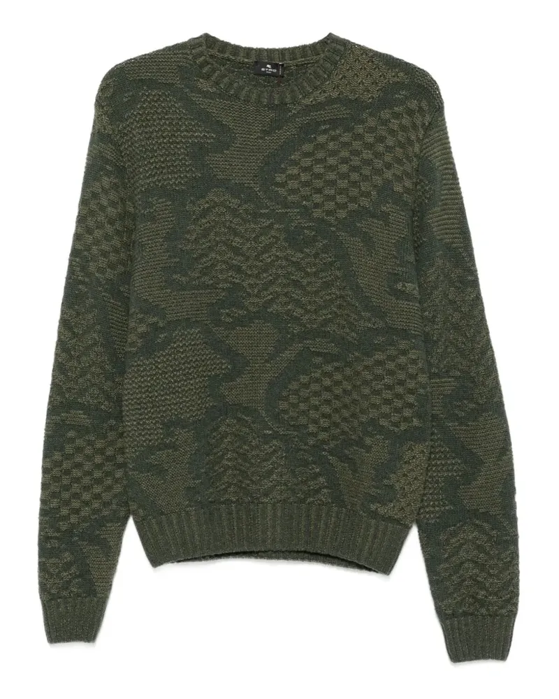 Etro Intarsien-Pullover mit Rundhalsausschnitt - Grün Grün