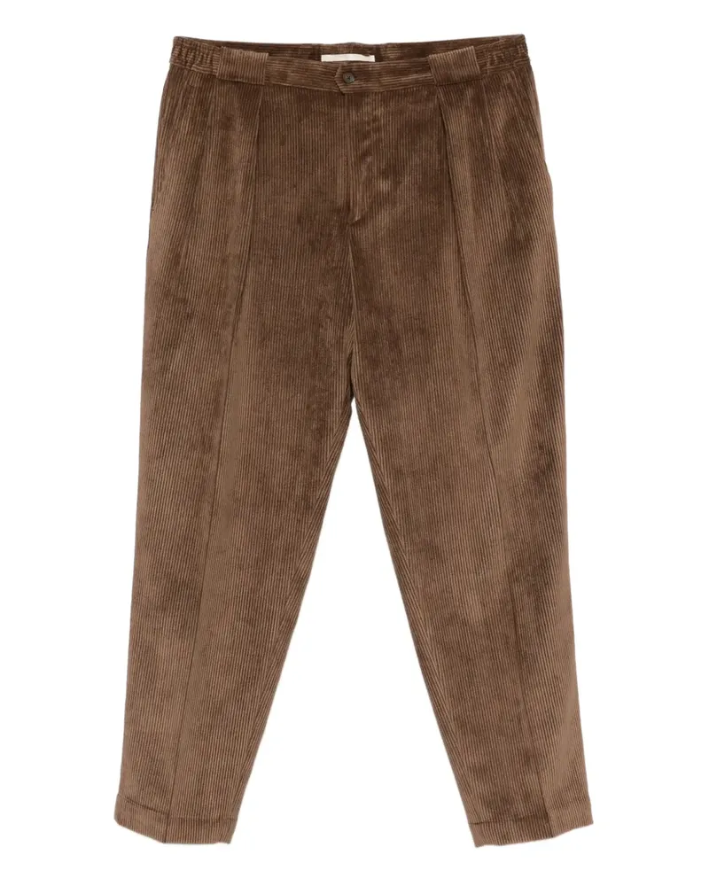 Briglia 1949 Portobello Hose aus Cord - Braun Braun