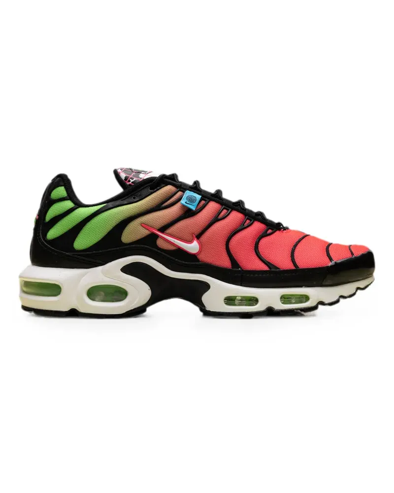 Nike Air Max Plus sneakers - Schwarz Schwarz