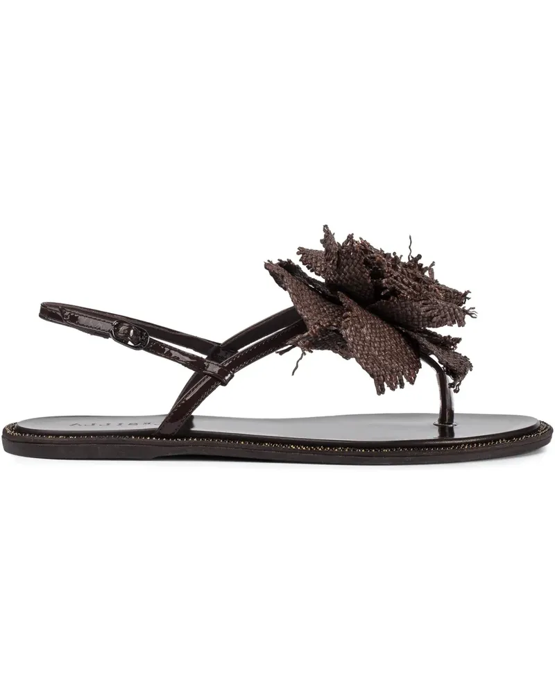 Le Silla Rose Sandalen - Braun Braun