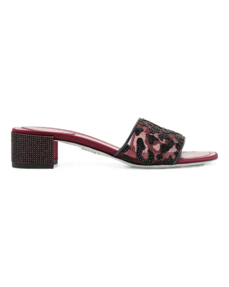 René Caovilla Allura Sandalen mit Leopardenprint - Rot Rot
