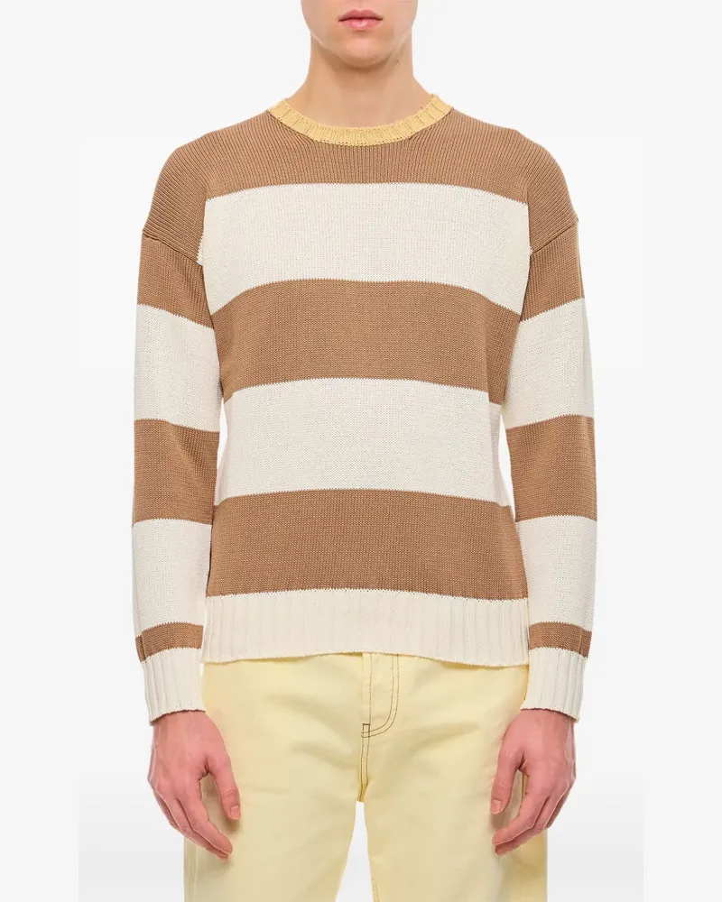 Drumohr Pullover aus Baumwolle Nude
