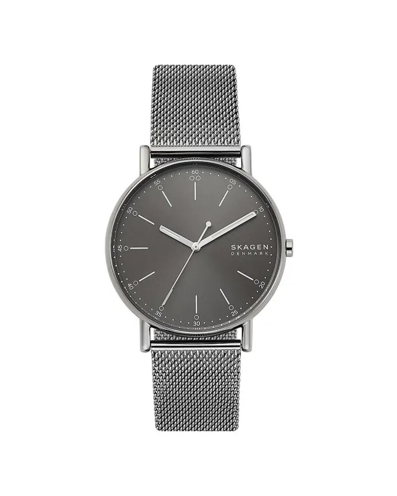 Skagen Signature 45mm - Grau Grau