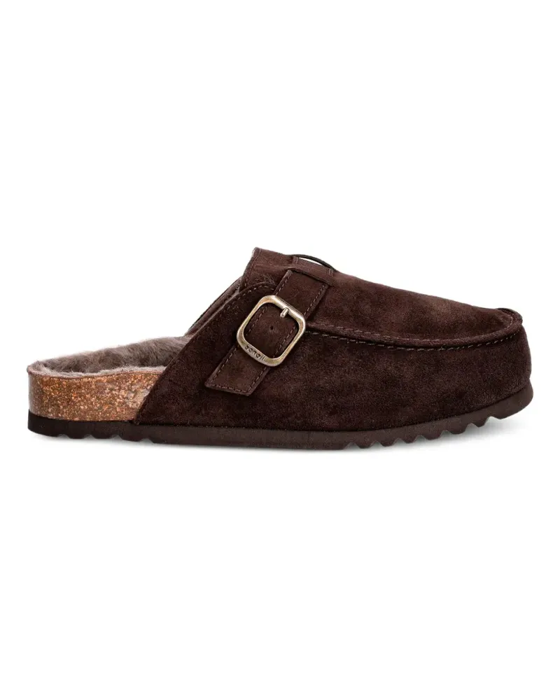 Scholl Dakota Mules mit Schnallenverschluss - Braun Braun