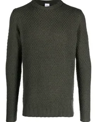 ASPESI Grob gestrickter Pullover Grün