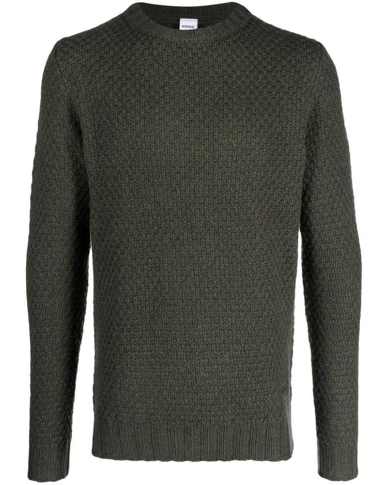 ASPESI Grob gestrickter Pullover Grün