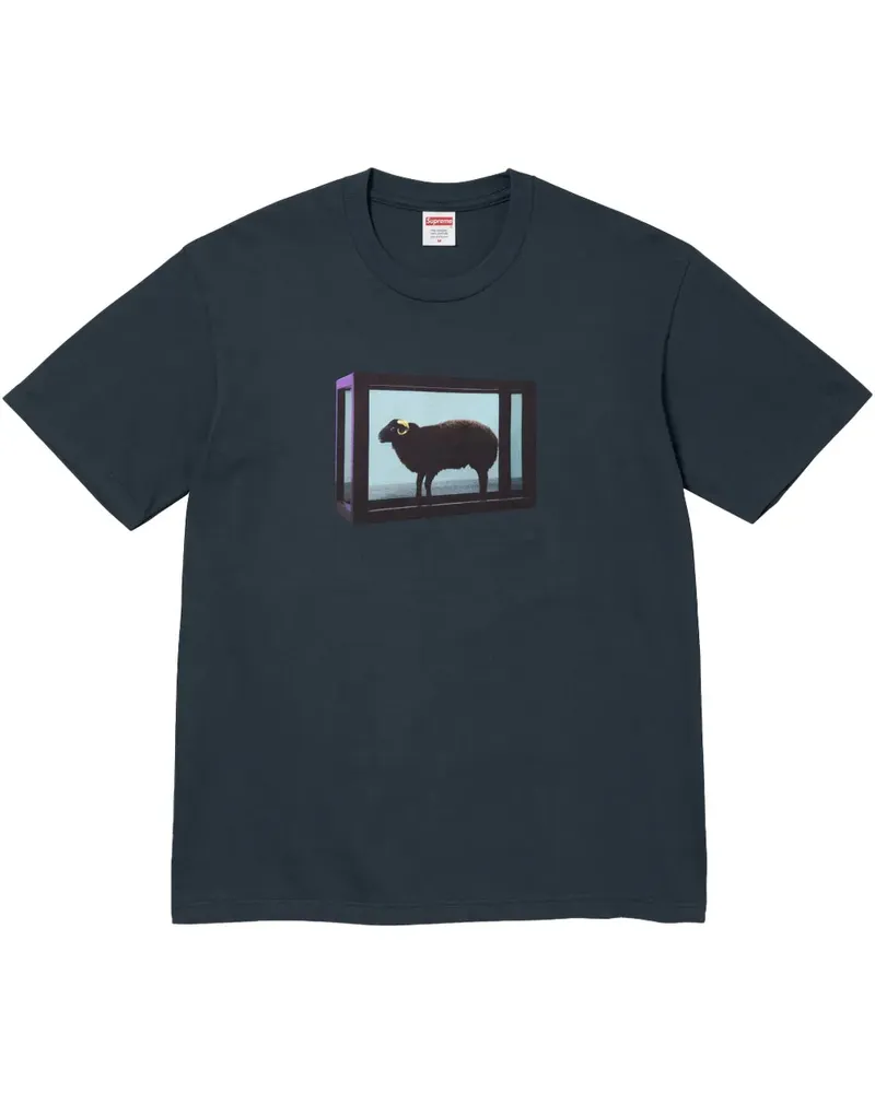 Supreme Being x Damien Hirst T-Shirt mit Print - Blau Blau