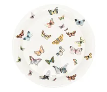 Schmetterling mit Print