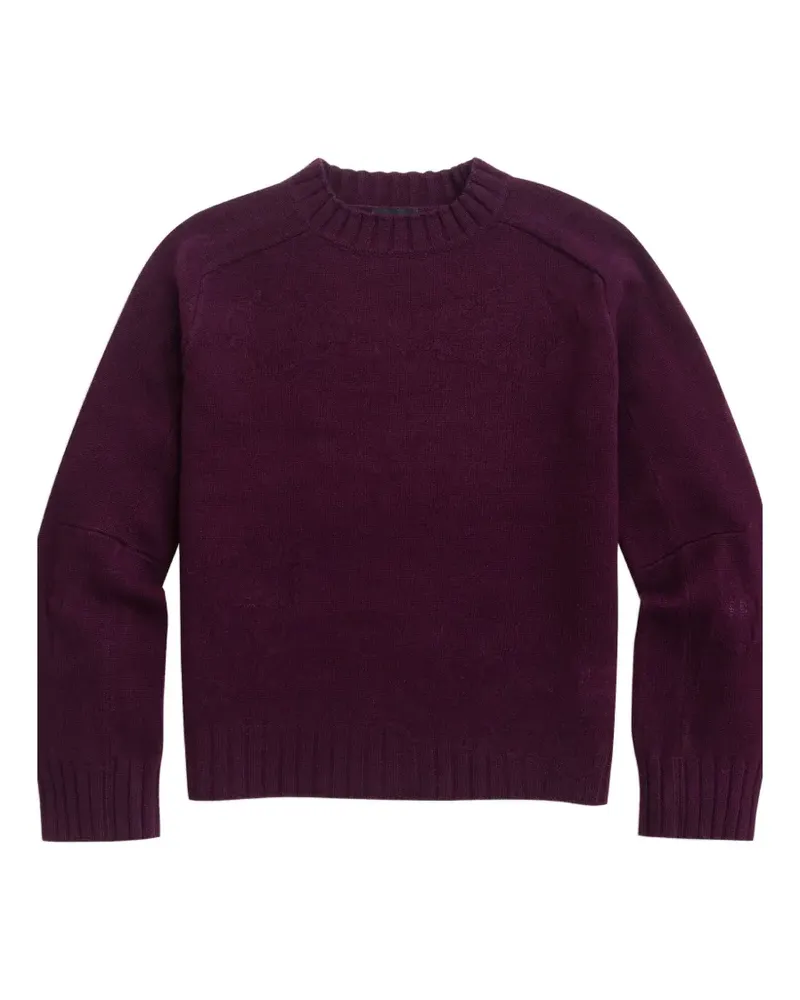 Brooks Brothers x Needles Pullover mit Stehkragen und Raglanärmeln - Violett Violett