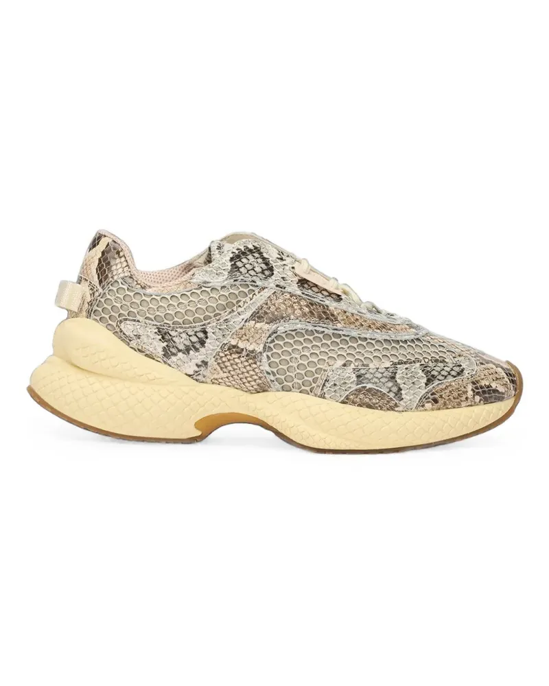 Roberto Cavalli Klassische Sneakers - Nude Nude