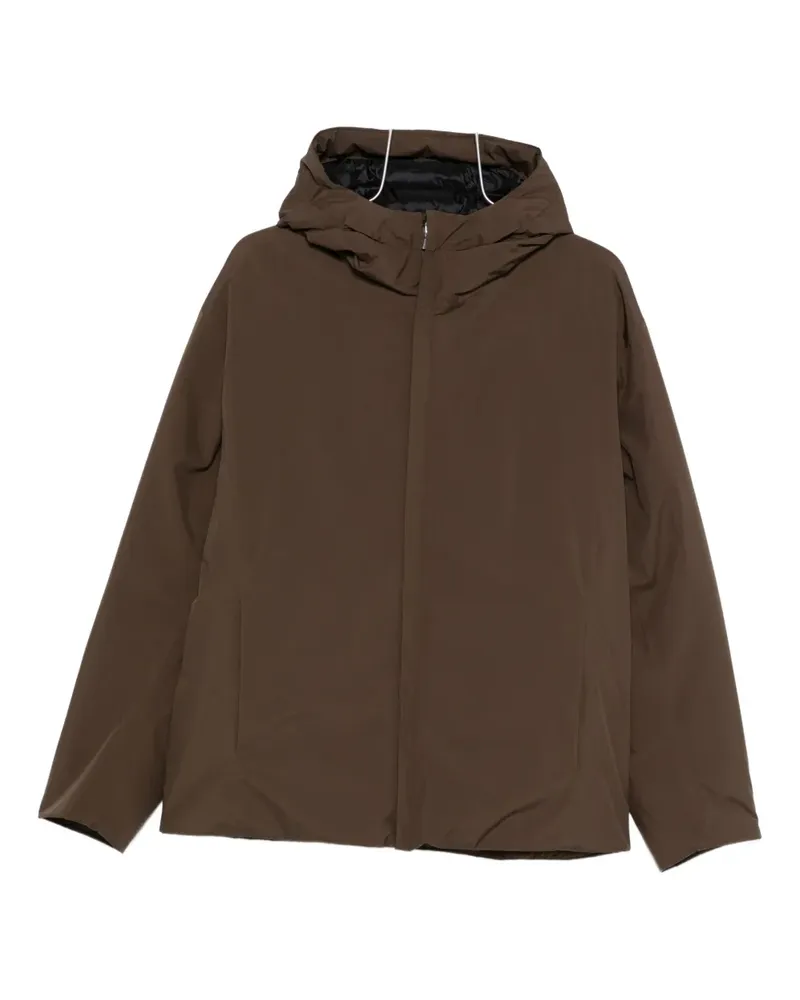 Herno Parka mit Kapuze - Braun Braun