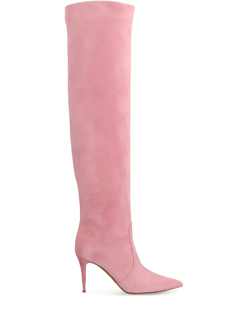 Gianvito Rossi Kniehohe Hansen Wildlederstiefel 90mm - Rosa Rosa