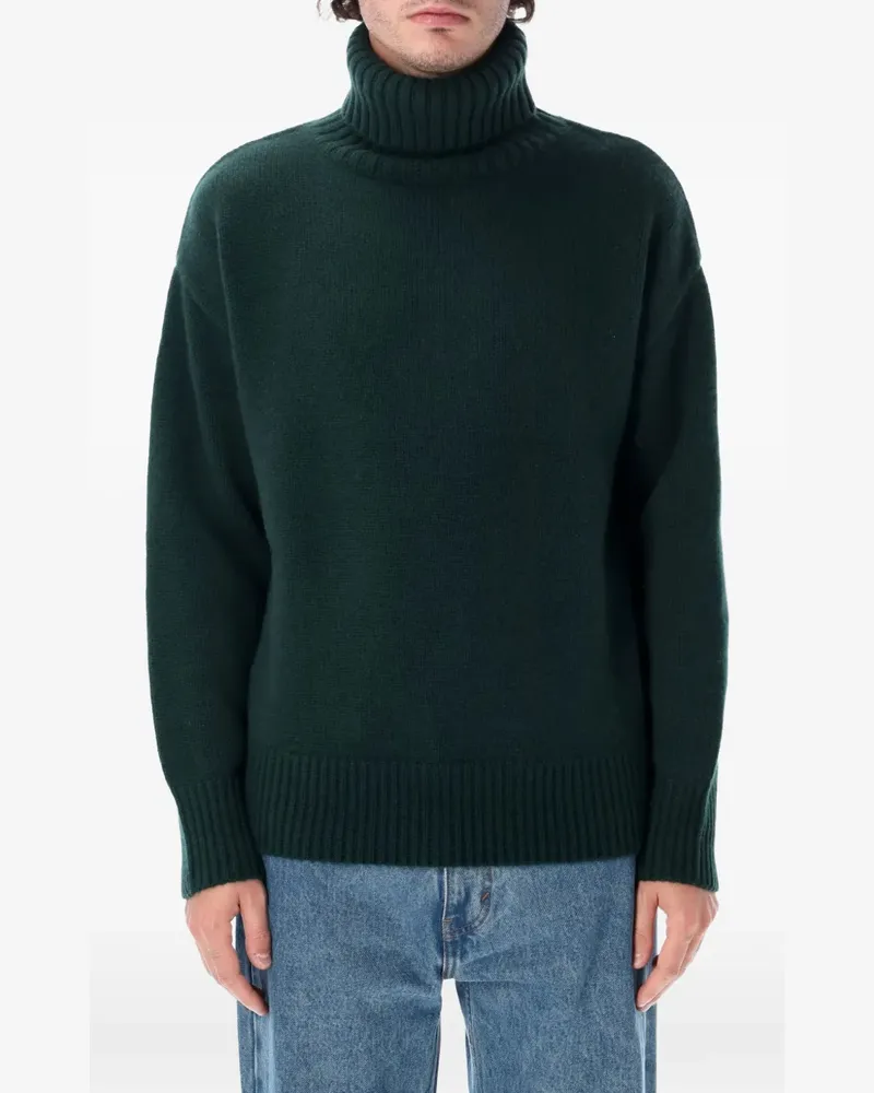 extreme cashmere Oversiz Extra roll-neck sweater - Grün Grün