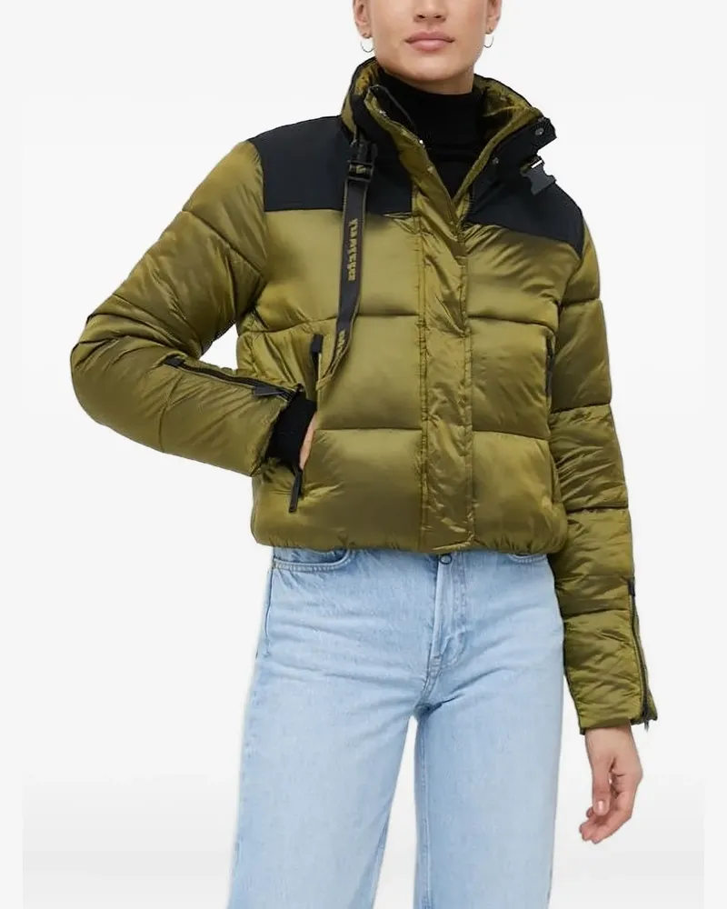 Invicta Gesteppte Jacke mit Stehkragen - Grün Grün