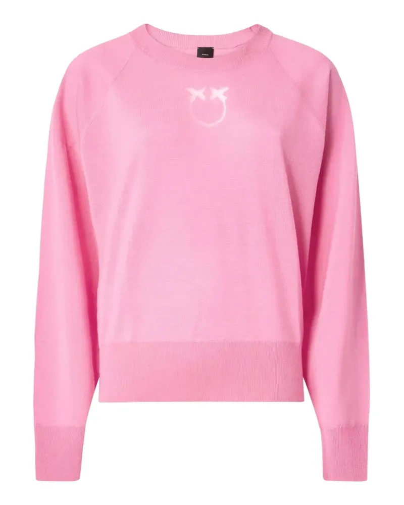 Pinko Pullover mit Raglanärmeln - Rosa Rosa