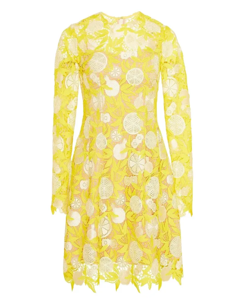 Lela Rose Holly fruit-motif lace mini dress - Gelb Gelb