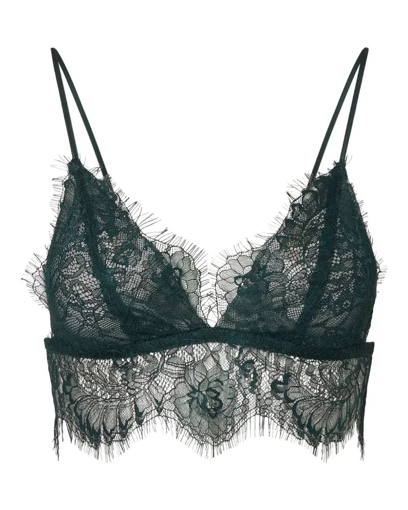 Liu Jo chantilly lace bralette - Grün Grün