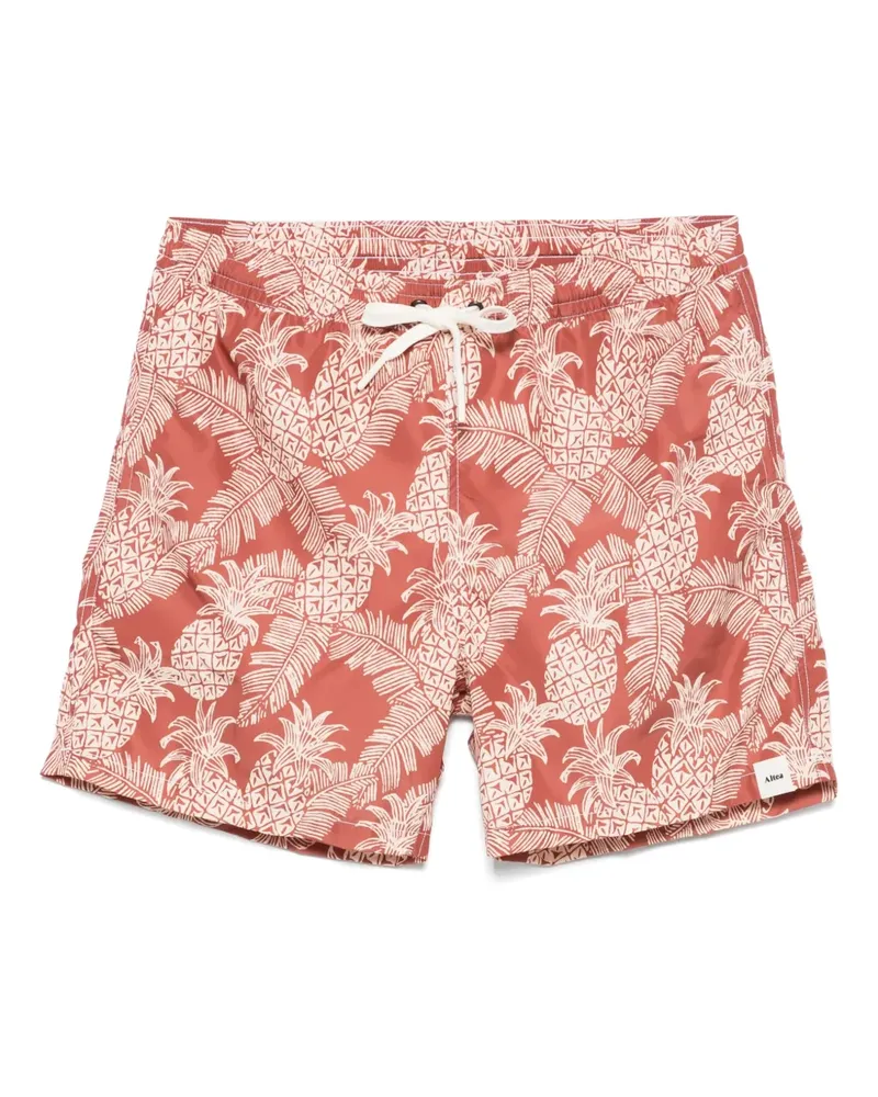 Altea Badeshorts mit Ananas-Print - Braun Braun