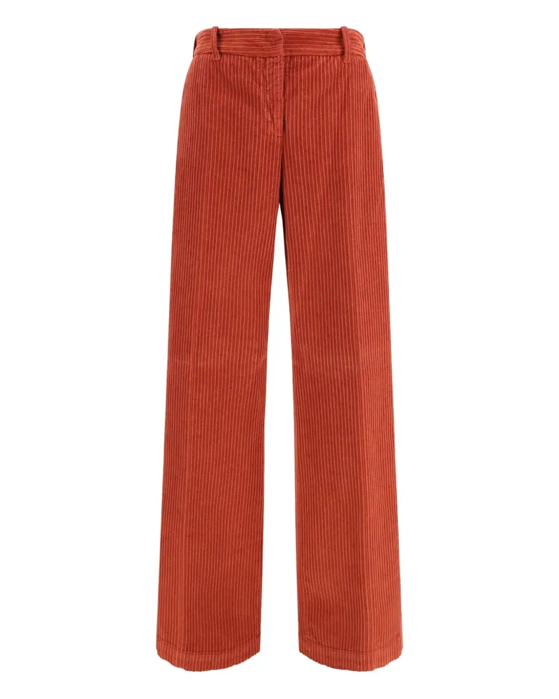True Royal Nicky Hose - Orange Orange
