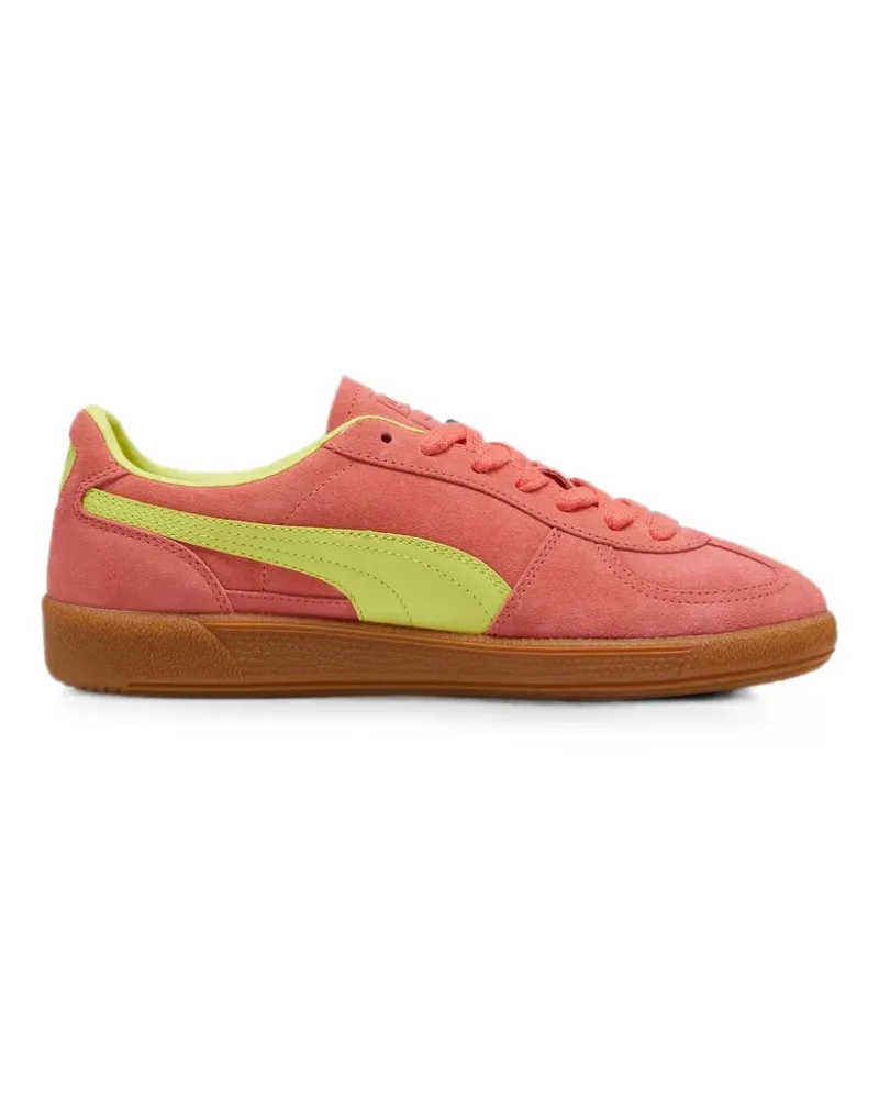 Puma Palermo Sneakers - Orange Orange