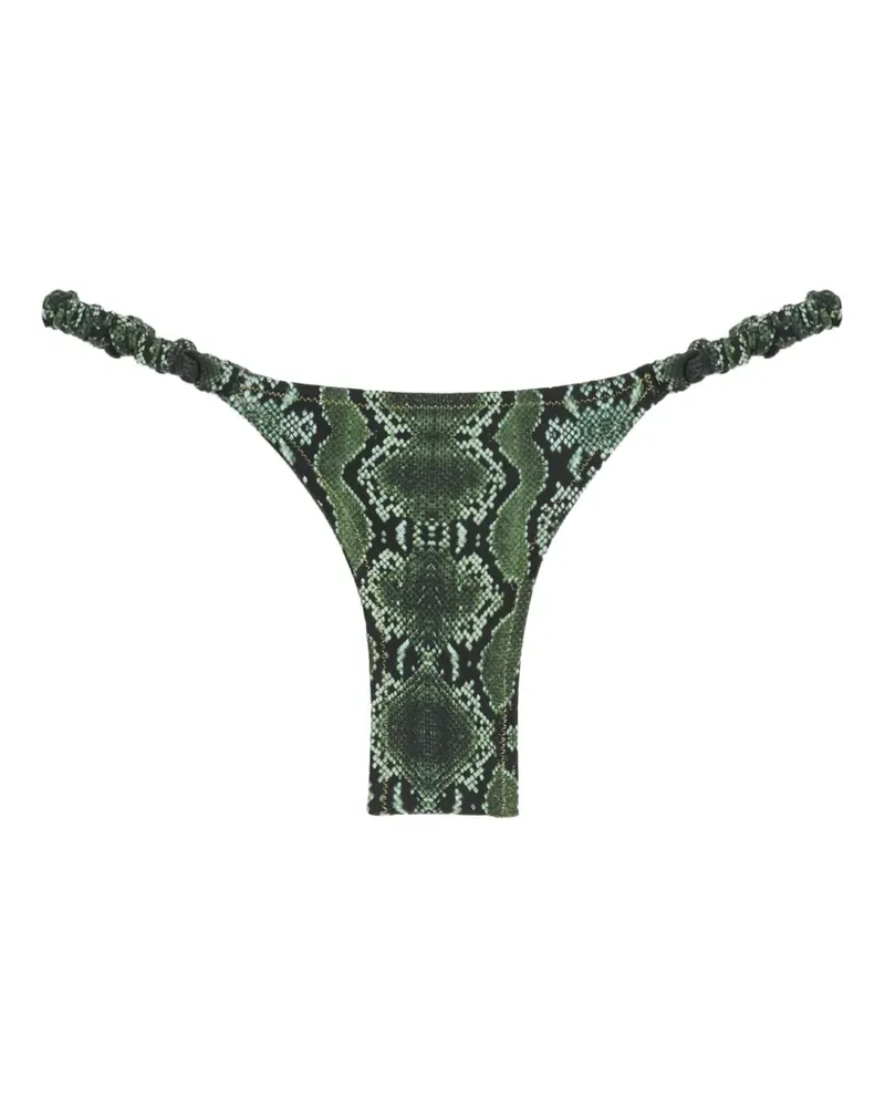 Reina Olga Scrunchie snake-print bikini bottoms - Grün Grün