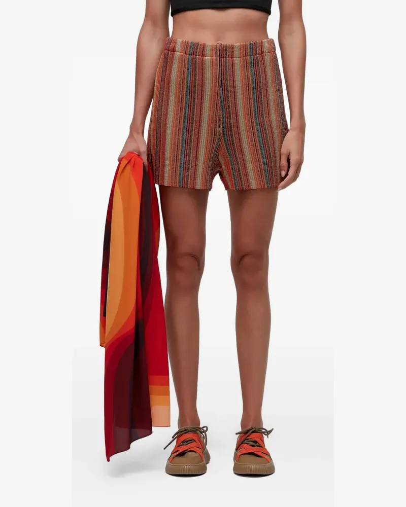 Osklen Gestreifte Shorts - Braun Braun