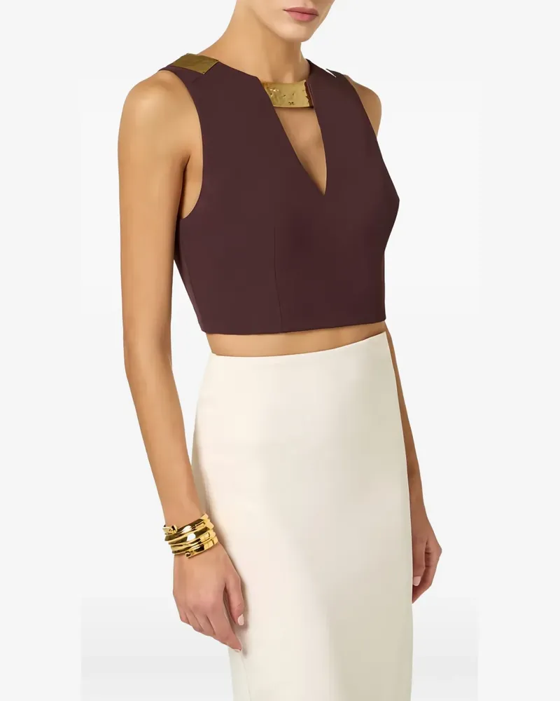 Elisabetta Franchi V-neck top - Braun Braun
