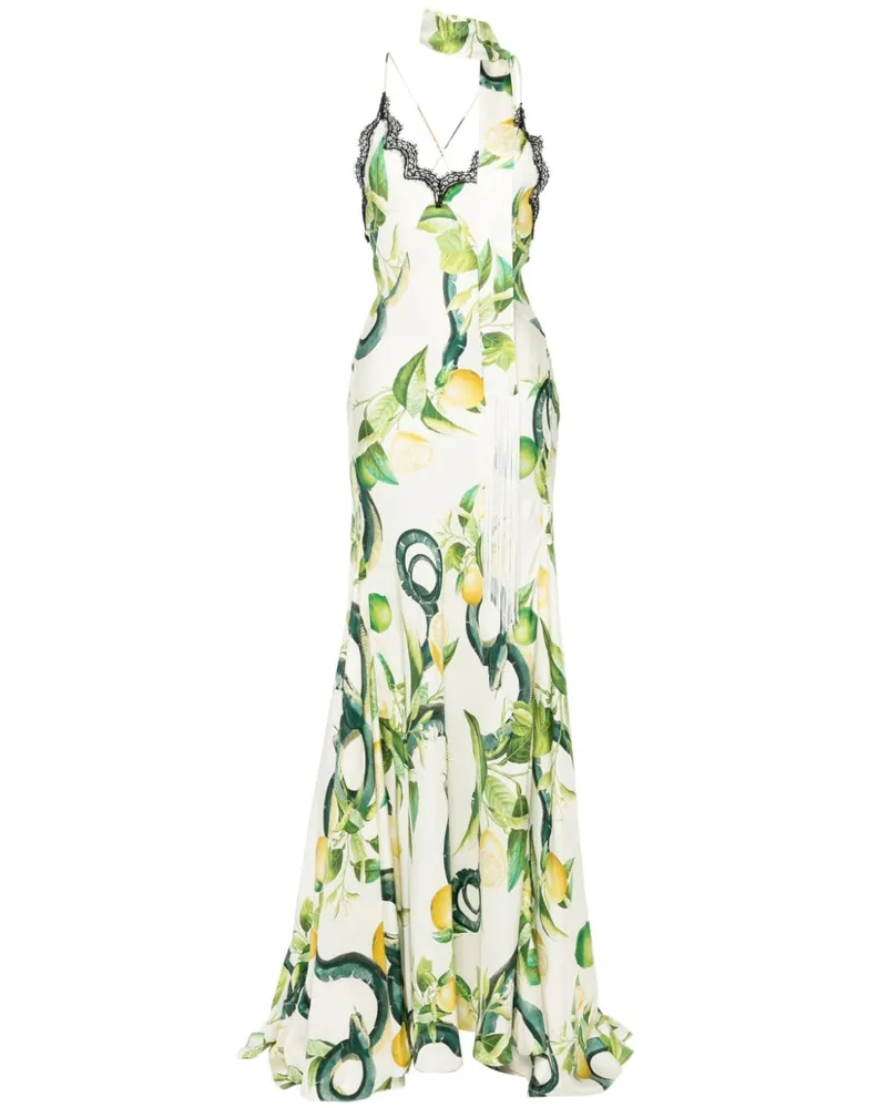 Roberto Cavalli Seidenkleid mit Zitronen-Print - Nude Nude