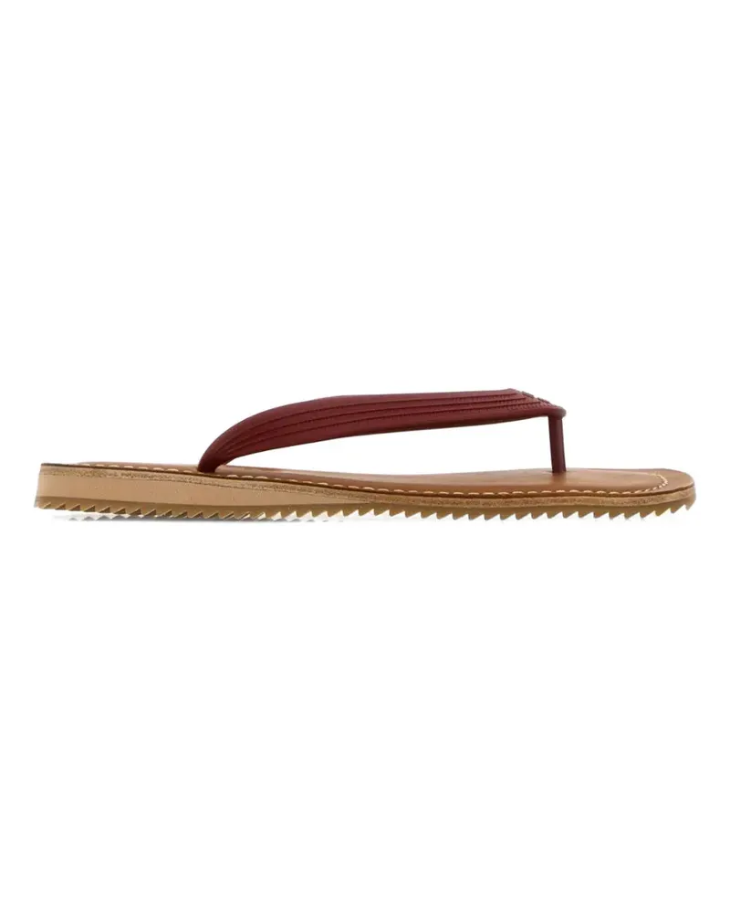 Miu Miu thong sandals - Rot Rot
