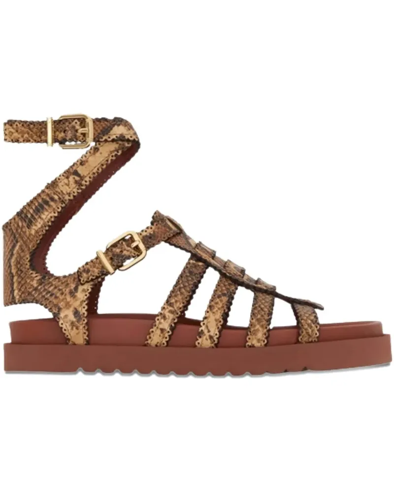 Zimmermann Goldie Gladiator Sandalen mit Schnalle - Braun Braun