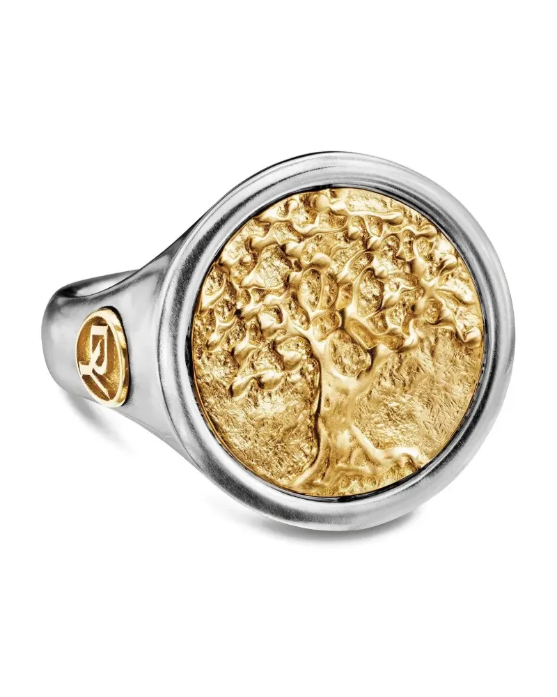 David Yurman 18kt Life and Death Duality Gelbgold- und Sterlingsilber-Siegelring (20mm Silber