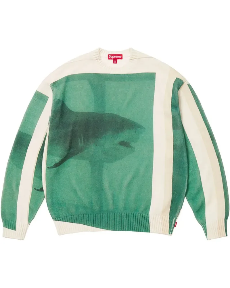 Supreme Being x Damien Hirst Intarsien-Pullover - Weiß Weiß