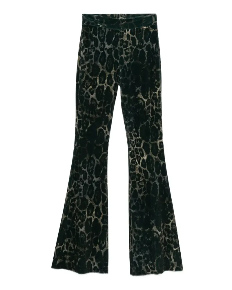 Just Cavalli Schlaghose mit Leopardenprint - Grün Grün