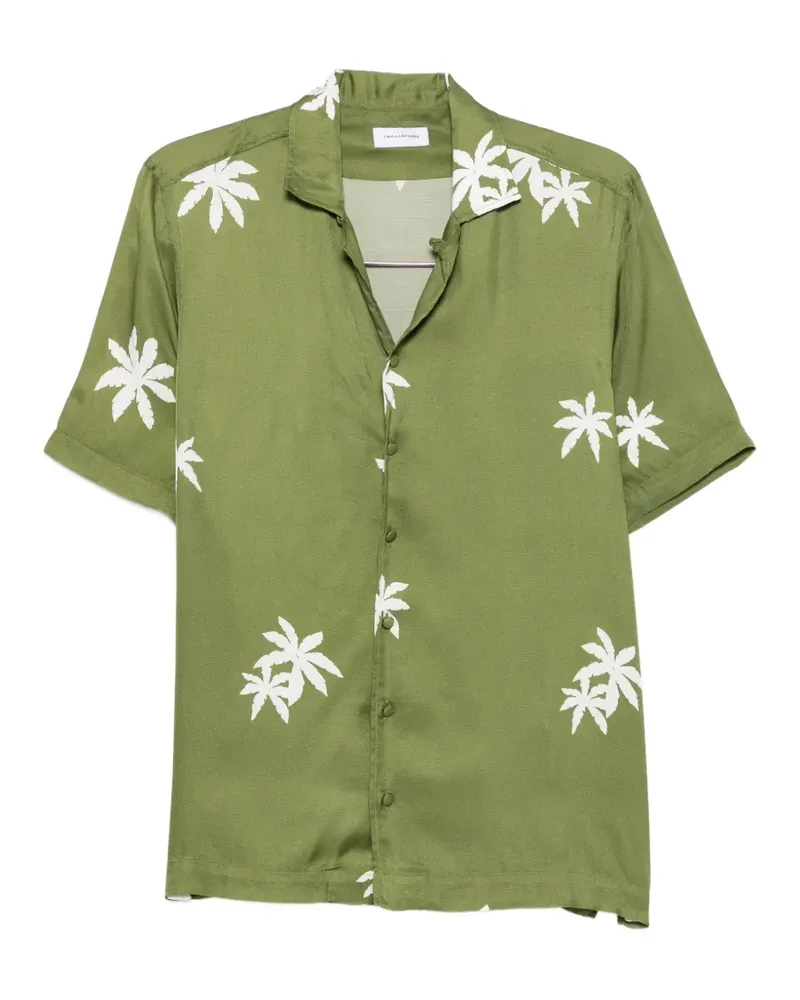 Tagliatore Hawaii palm-print shirt - Grün Grün