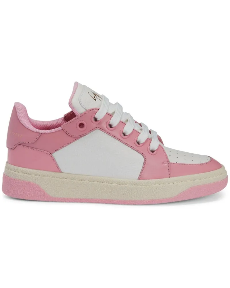 Giuseppe Zanotti GZ94 Sneakers - Rosa Rosa