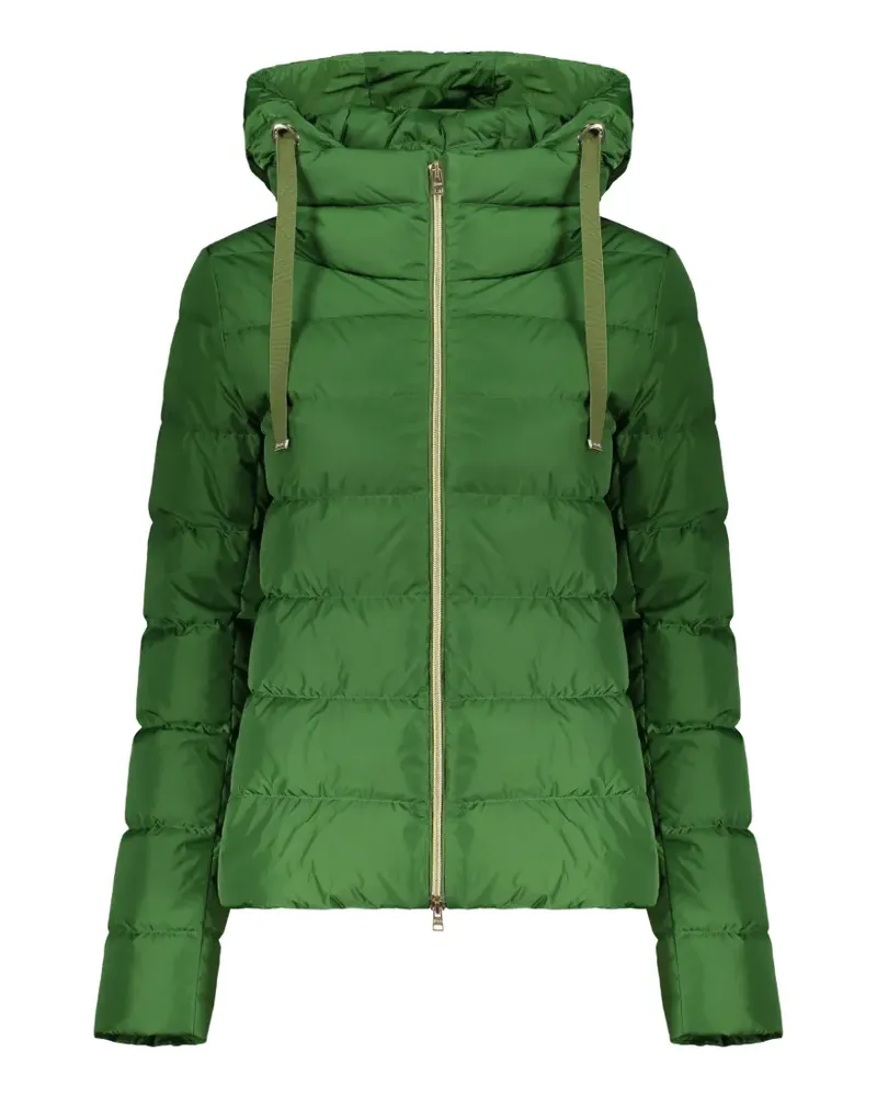 Herno Daunenjacke mit Kapuze - Grün Grün
