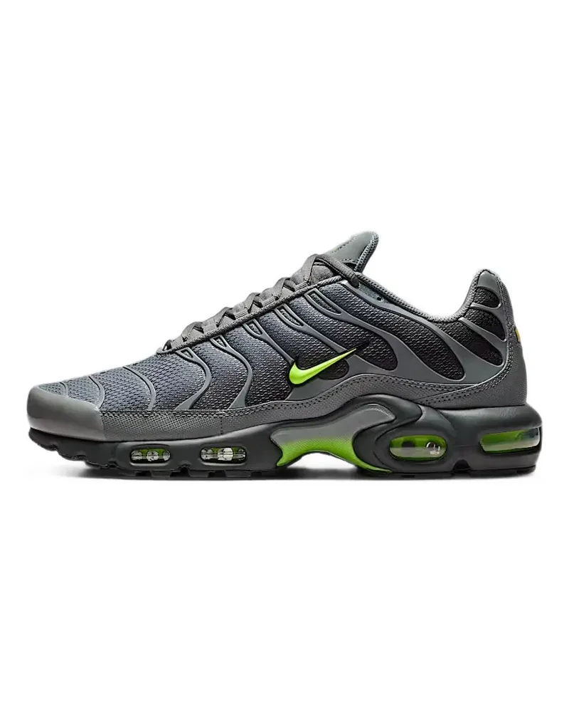 Nike Air Max Plus sneakers - Grau Grau