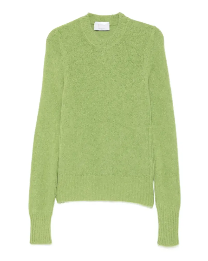 Daniele Fiesoli Pullover mit geripptem Besatz - Grün Grün