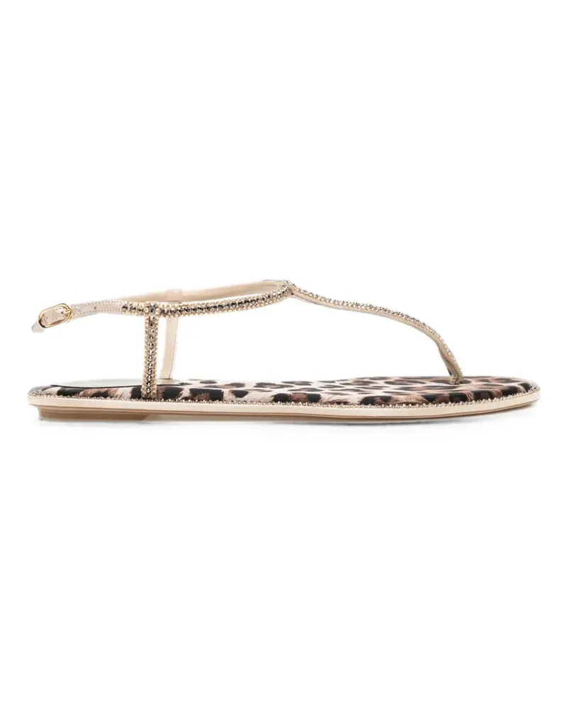 René Caovilla Diana Sandalen mit Leopardenprint - Nude Nude