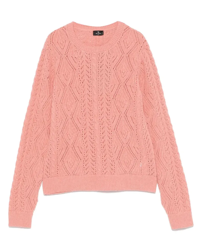 Etro Klassischer Pullover - Rosa Rosa