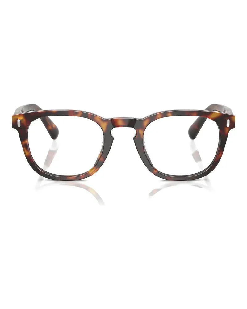 Persol Gianni round-frame glasses - Braun Braun
